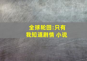 全球轮回:只有我知道剧情 小说